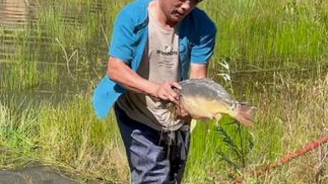 #户外捕鱼 #好大一条鱼