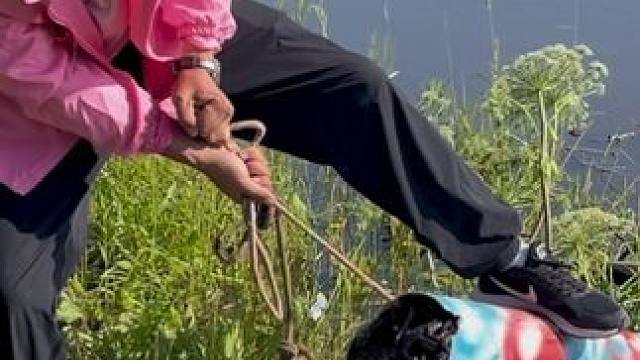 #户外捕鱼 #好多鱼