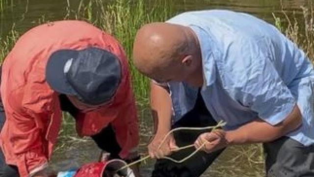 #户外捕鱼 #好多鱼