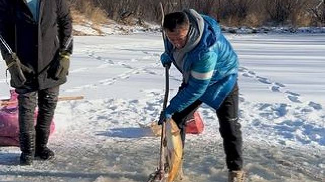 #户外捕鱼 #好多鱼