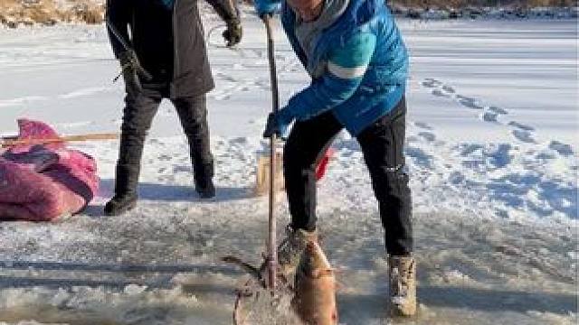 #户外捕鱼 #好多鱼