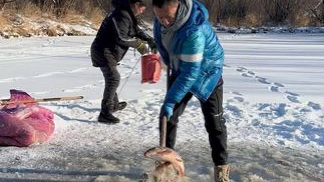 #户外捕鱼 #好多鱼