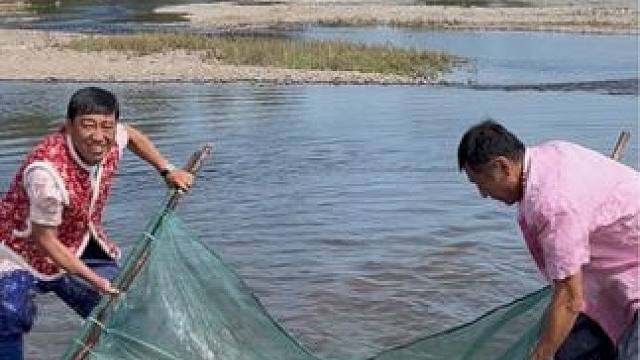 #户外捕鱼 #好多鱼