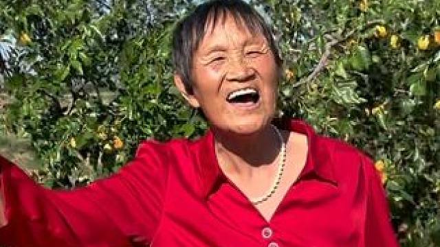 家乡的枣儿熟了山西民歌《 打酸枣 》 #农村生活  #抖出你的家乡 #我是山西人我为山西文旅上分 #