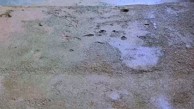 楼梯滚瓶子爆破解压时刻