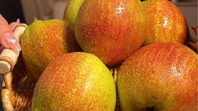 学员作品展示 学员指导案例#摄影教学 #手机摄影 #摄影培训 #拍摄技巧 #手机摄影教学 线上线下均