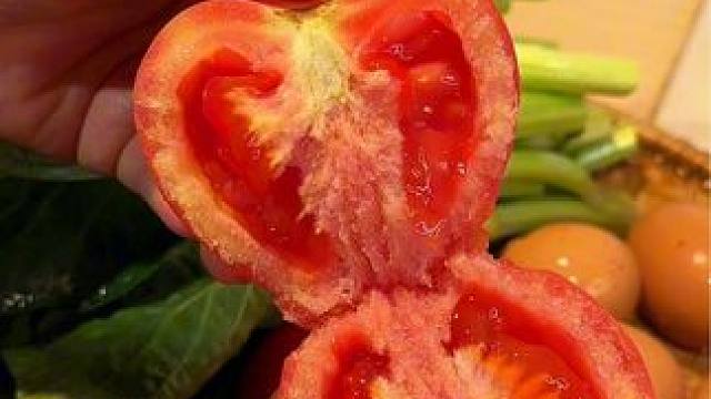 手机摄影教学 线下学员学习一天的效果！#摄影教学 #手机摄影教学 #摄影培训 #拍摄技巧 #手机摄影