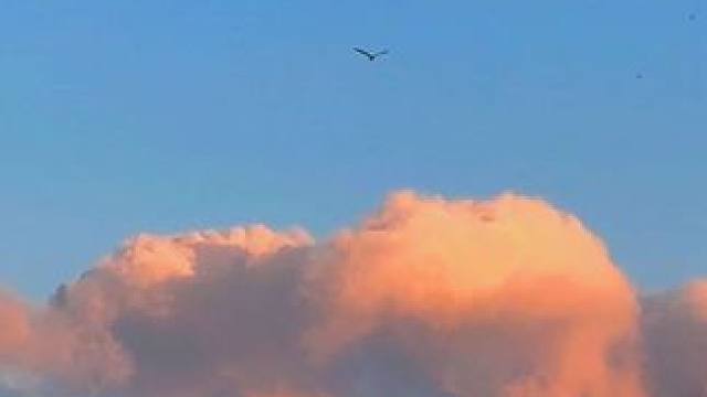 “翻越山川望见曙光 蒲公英般的飞翔”