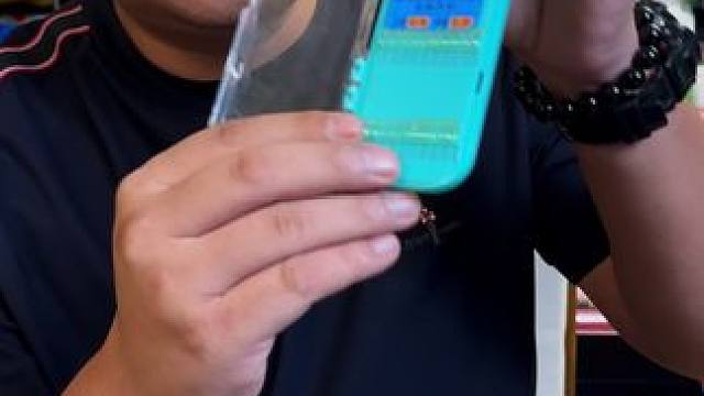 短子线双钩钓鲫鱼 浅水钓鲫鱼必备短子线双钩，现在活动来了。#短子线双钩 #短子线双钩成品 #短子线双