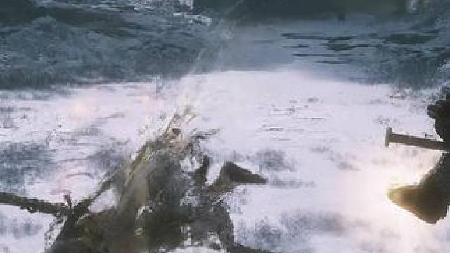 二周目一边过真菌