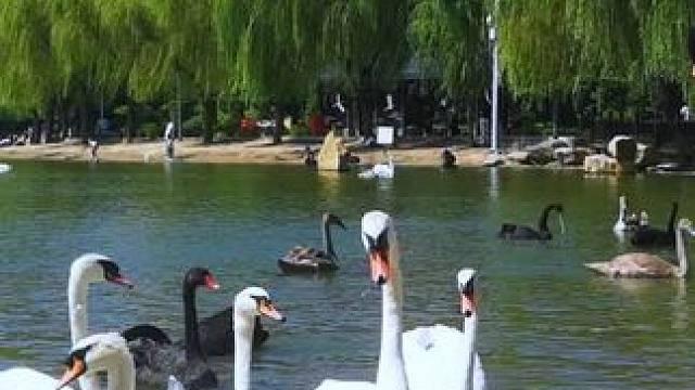 #人与自然万物和谐共处