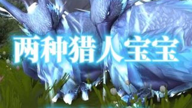 介绍两种魔兽世界地心之战猎人可驯服的宝宝 #魔兽世界勇士集结  #魔兽世界地心之战正式上线  #魔兽