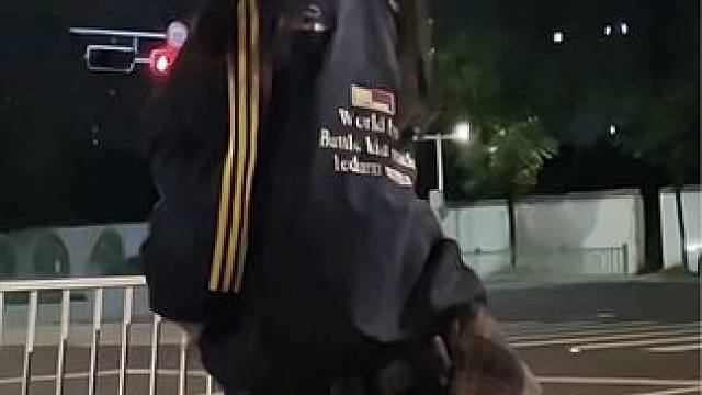 舒服又慵懒～ 回复 