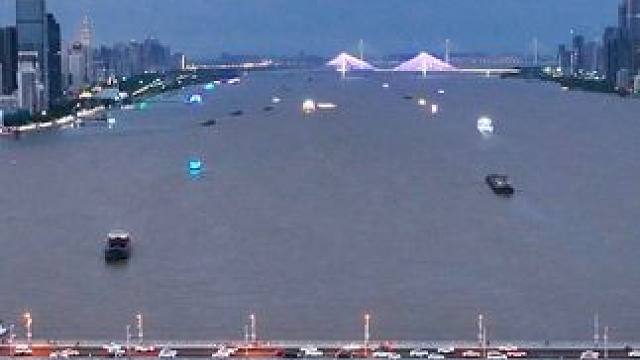 今天武汉的风很大，带来了久违的清凉，仿佛一下子进入了秋天 #武汉 #武汉长江大桥 #航拍