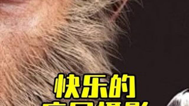 快乐的底层摄影师 #婚礼跟拍 #婚礼摄影 #活动摄影 #摄影教学 #人像摄影