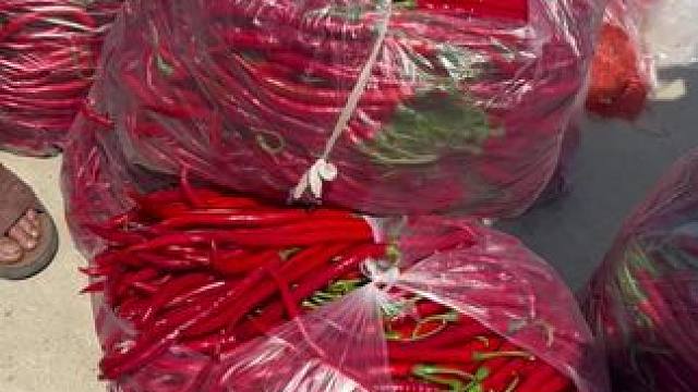 这么好的辣椒才卖一块四一斤#随手拍 #辣椒