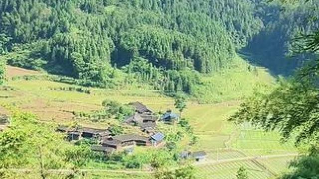 妈妈因为一时的冲动嫁进大山，而她的孩子们却要用一辈子的努力才能逃离大山！#乡愁记忆 #老房子的回忆 