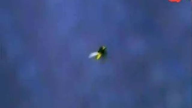 下载《西瓜视频》，免费观看精彩后续/精彩海量免费短剧免费看pogj20 #因为一个片段看了整部剧