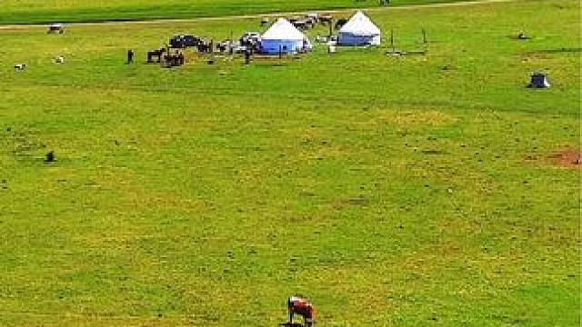 八月的那拉提草原，是一场秋天的视觉盛宴，千万别错过#音乐 #治愈 #那拉提草原 #旅行大玩家 #总要