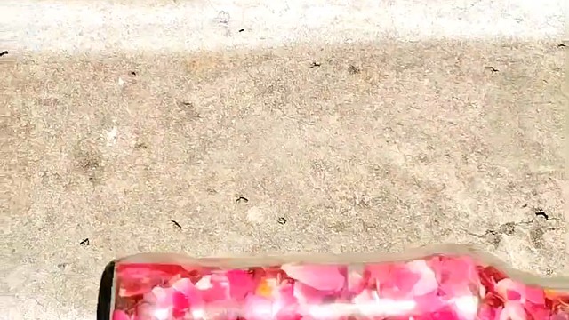 楼梯滚瓶子爆破解压时刻