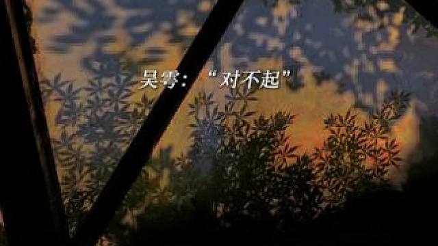 大花终于认出吴雩就是小时候救他的少年了呜呜呜。#吞海 #配音