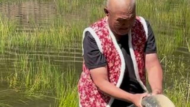 #户外捕鱼 #好大一条鱼