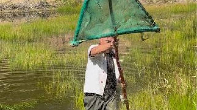 #户外捕鱼 #好大一条鱼