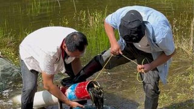 #户外捕鱼 #好多鱼