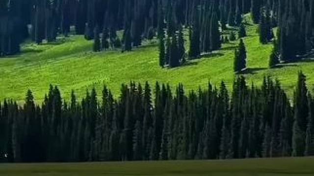 失眠的人连做梦都不配……