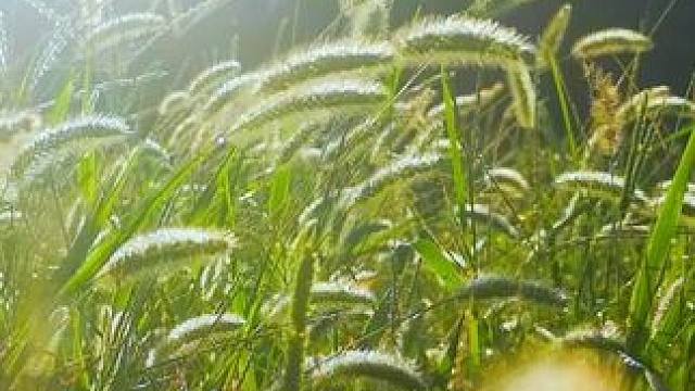 #生活的美由你创造