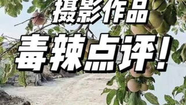 摄影作品毒辣点评！#摄影 #学摄影 #摄影作品分析点评 #摄影作品点评 #摄影技巧