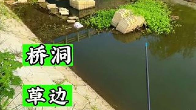 究竟是什么伤害了这条小黑
#钓鱼 #野钓 #户外野钓 #老坛甜薯 #野河野钓