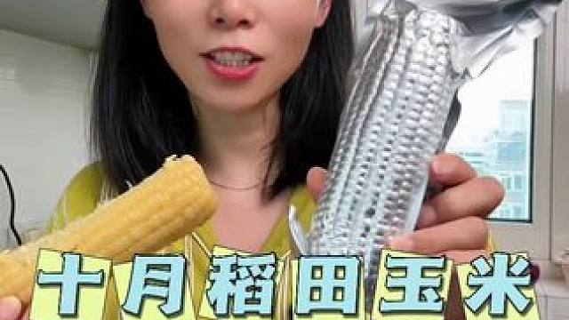 为了美美的小裙子，从现在坚持每天鸡蛋和玉米 #低卡低脂餐#粗粮 #糯玉米 #早餐