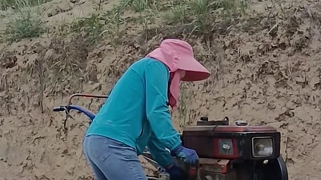 男人能干的女人也行