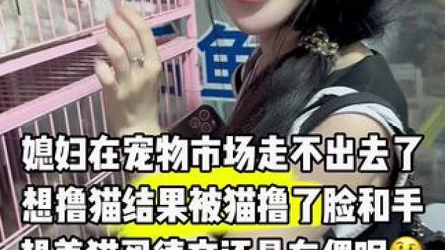 猫咪 姐妹们买布偶猫还是德文，有经验的姐妹推荐一下❤️#宝妈 #生活  #萌娃#日常vlog#猫咪