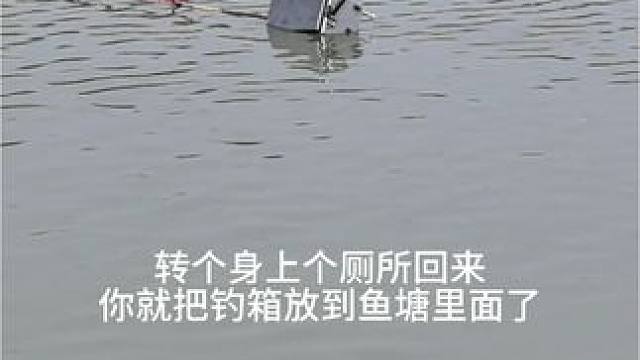 一天就两口，上厕所一口，点烟一口#钓鱼 #钓青鱼