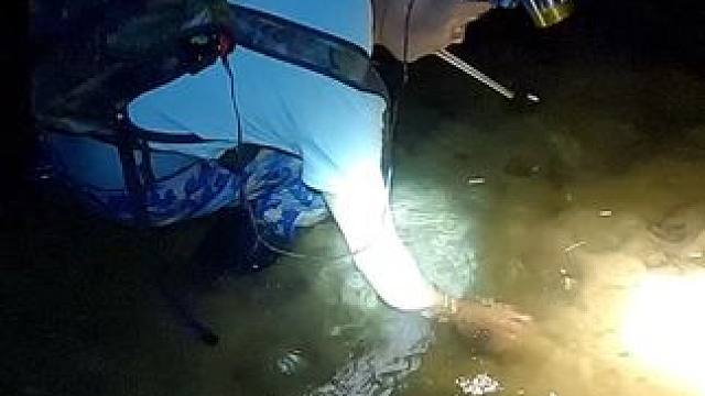 这几天天气太热，咱们尽量白天不出门，晚上给大家户外打野。#徒手抓鱼 #抓黄鳝 #真实户外 #捉螃蟹 