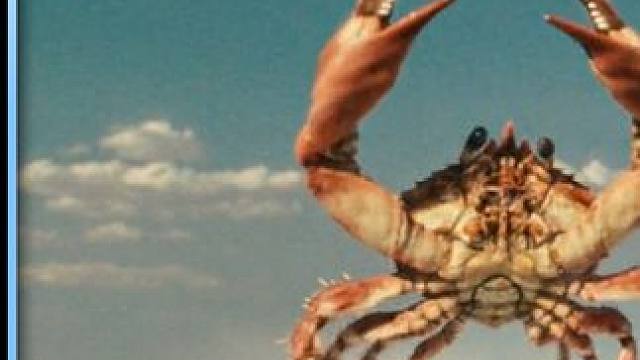 三人意外穿越远古时期，遇到比人还大的螃蟹，把恐龙当宠物 #电影解说