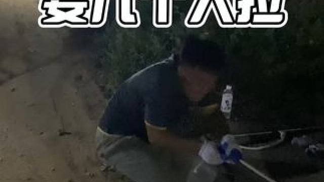 这条鱼要几个人来拉呀？ #鳄珍鳄鱼酒 #鳄珍养生酒 #鳄鱼