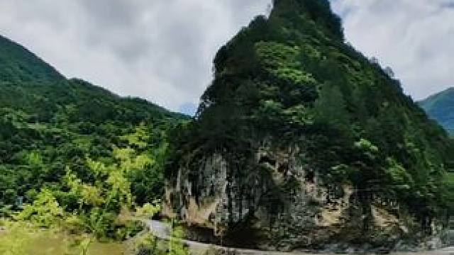 嘉陵江大峡谷沿途随拍#大山深处自然美 #沿途风景随拍#我是家乡陇南文旅推荐官