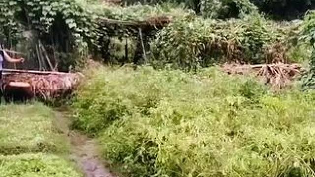 山卡卡里的农村大姐学费了开直播每天收获满满您还在恐播怕播不知道说什么吗#记录真实生活 #农村生活 #