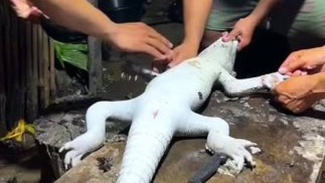 东南亚乡村生活（瓦岗煮） #东南亚八面佛 #原始美味 #我的乡村生活 #东南亚美食