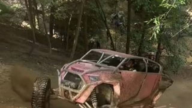 看你一眼我就走 