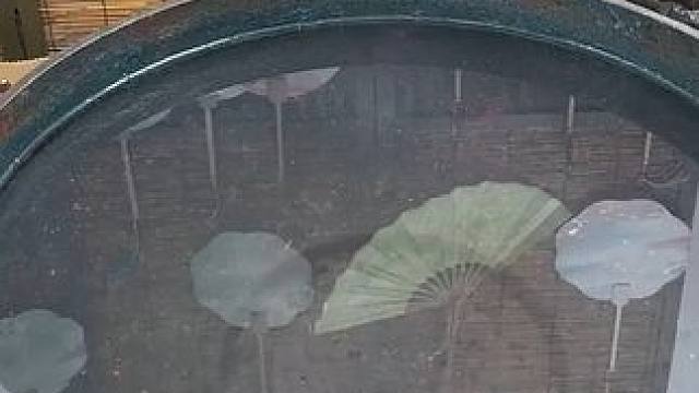 《春回海底》点击左下角链接，下载书旗小说，即可看到后续 