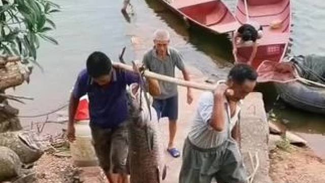 户外钓鱼！#钓鱼