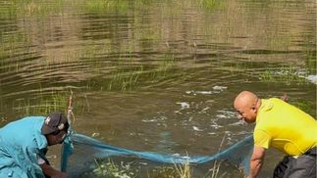 #户外捕鱼 #好多鱼