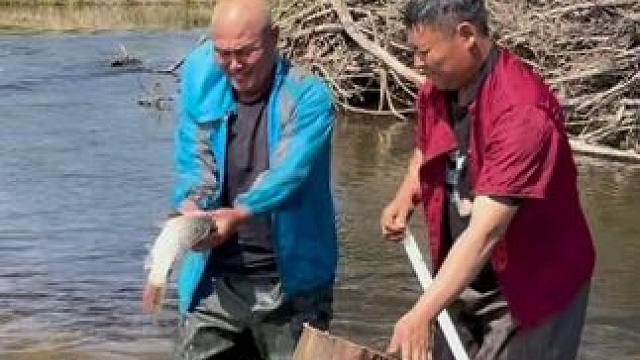 #户外捕鱼 #好大一条鱼