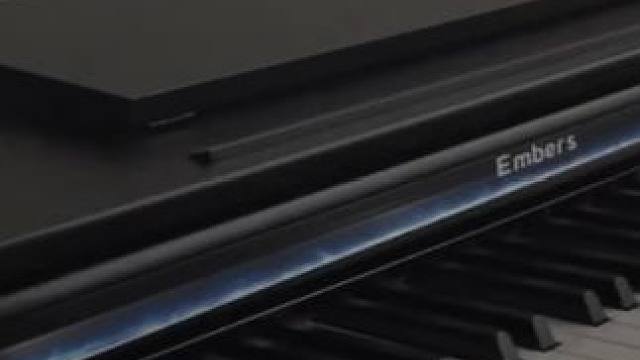 业火不灭，薪炎永燃 #崩坏3 #薪炎永燃 #moonhalo #米哈游