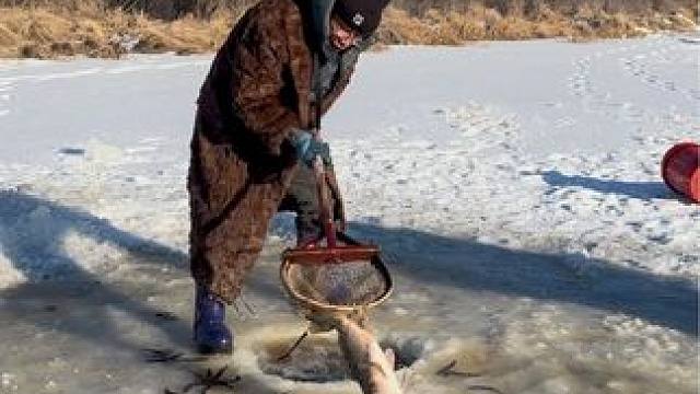 #户外捕鱼 #好多鱼