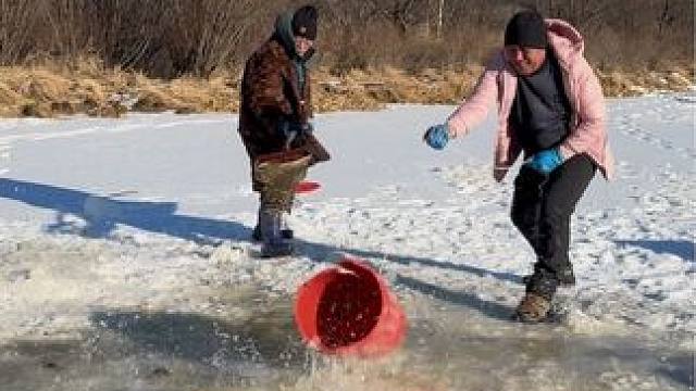 #户外捕鱼 #好多鱼